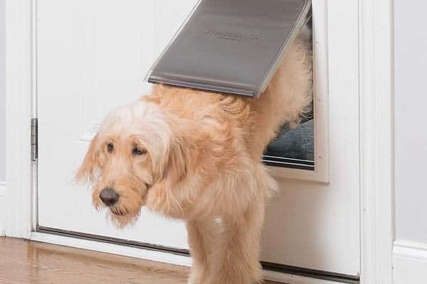 PetSafe Extreme Weather Energy Efficient Pet Door