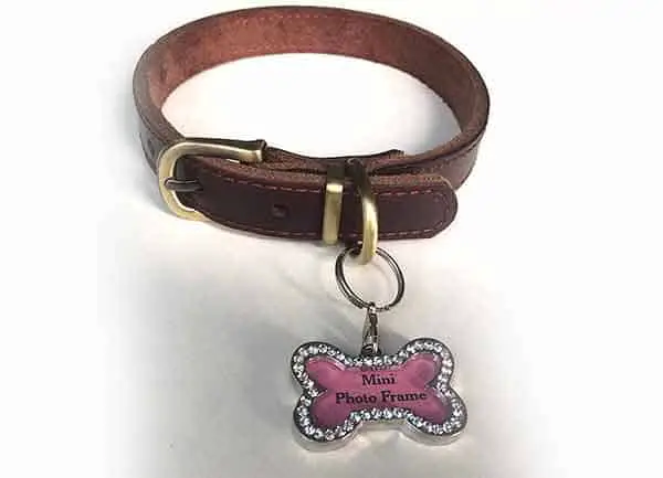 WintMing Dog Leather Training Collar with Name Tag