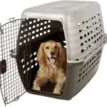 best plastic dog crate petmate navigator plastic kennel