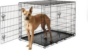 best wire dog crate frisco fold carry double door dog crate