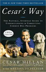 cesars way the natural everyday guide to understanding correcting common dog problems