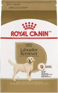 royal canin lab adult dry food