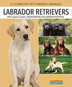 the labrador retriever handbook